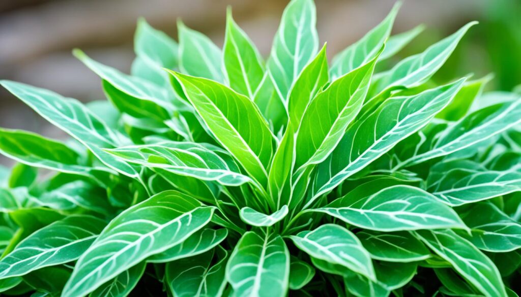 Benefits of zinc for hair growth