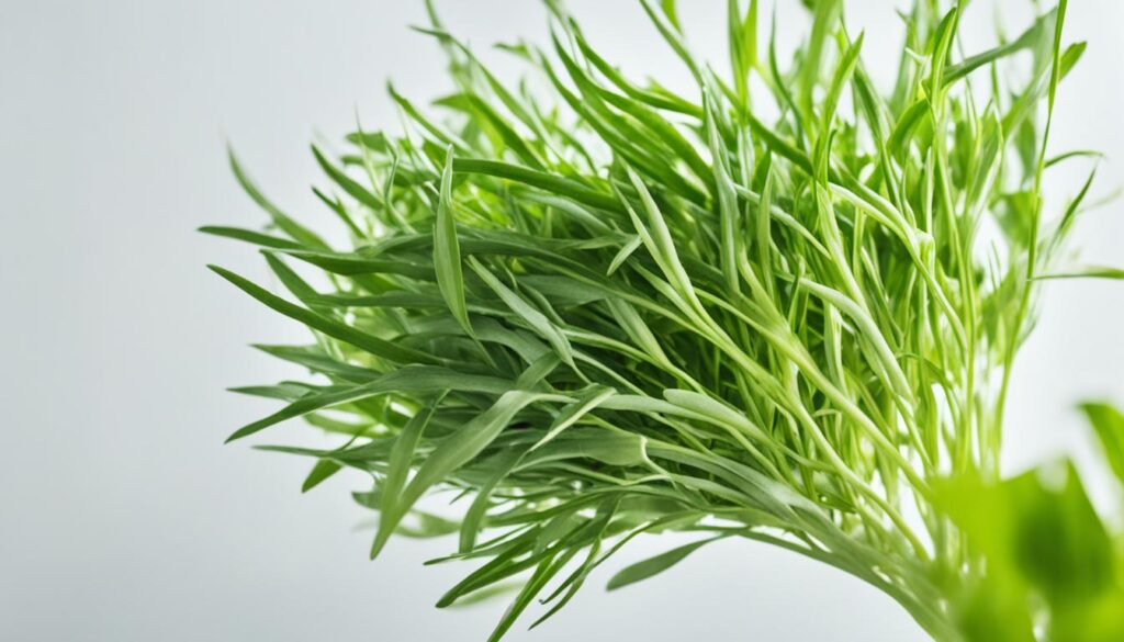 Promoting Scalp Health